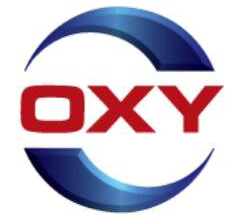 Occidental Petroleum Corp (OXY) Q4 2024 Earnings Call Highlights: Record Production and ...
