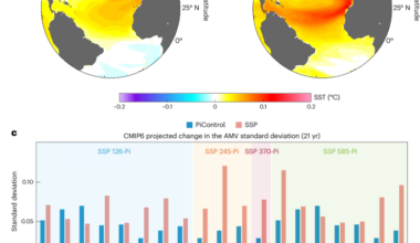 Intensified Atlantic multidecadal variability in a warming climate