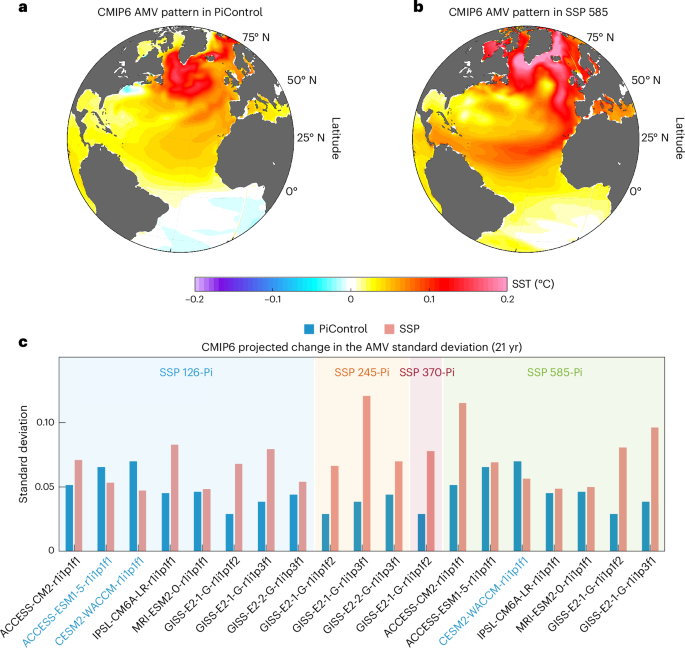 Intensified Atlantic multidecadal variability in a warming climate