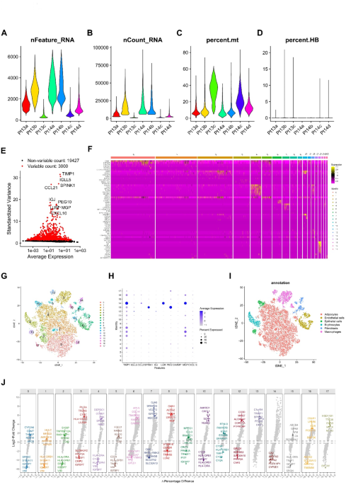 Comprehensive analysis reveals the tumor suppressor role of macrophage signature gene FCER1G in hepatocellular carcinoma