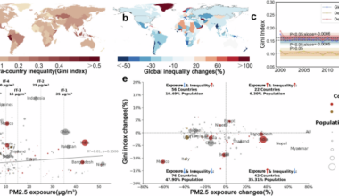 Global PM2.5 exposures and inequalities