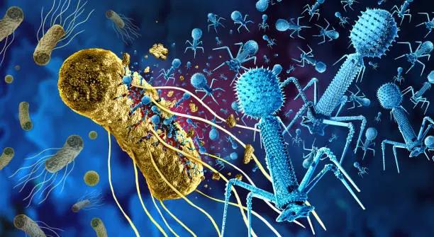 Expanding Phage Diversity for One Health: Challenges and Opportunities