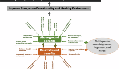Make African grasslands climate-change resilient