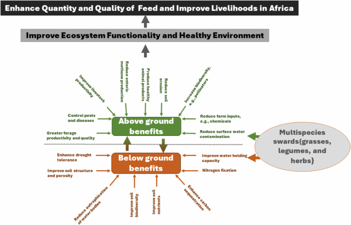 Make African grasslands climate-change resilient