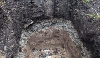 Wir haben massive Staunässe im Garten. Das Wasser kann nicht ablfließen. Habe heute mal ein Loch gegraben&gebohrt. Die mittlere graue Schicht ist komplett verhärtetes Geröll. Würde es wohl helfen überall 0,5m tiefe Löcher zu Bohren und mit Quarzsand aufzufüllen damit das Wasser bis nach unten kommt?