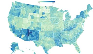 Medicaid Coverage in Metro and Small Town/Rural Counties, 2023