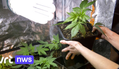 Brusselse politie rolt Albanese drugsbende op bij grootschalige reeks huiszoekingen over heel België