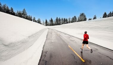 Is there a German word for the feeling of an unseasonable winter day?