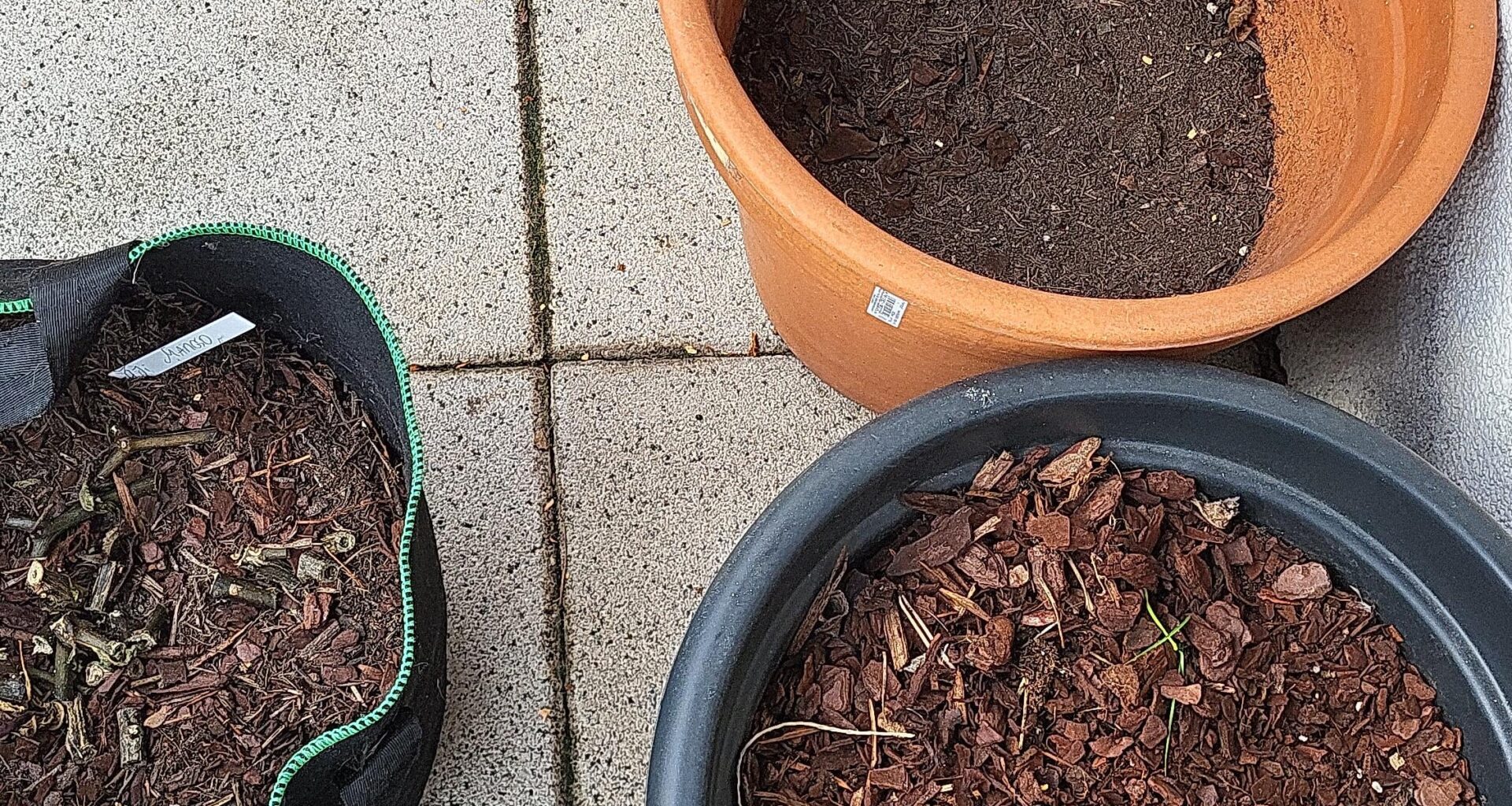Kübelerde vom Vorjahr