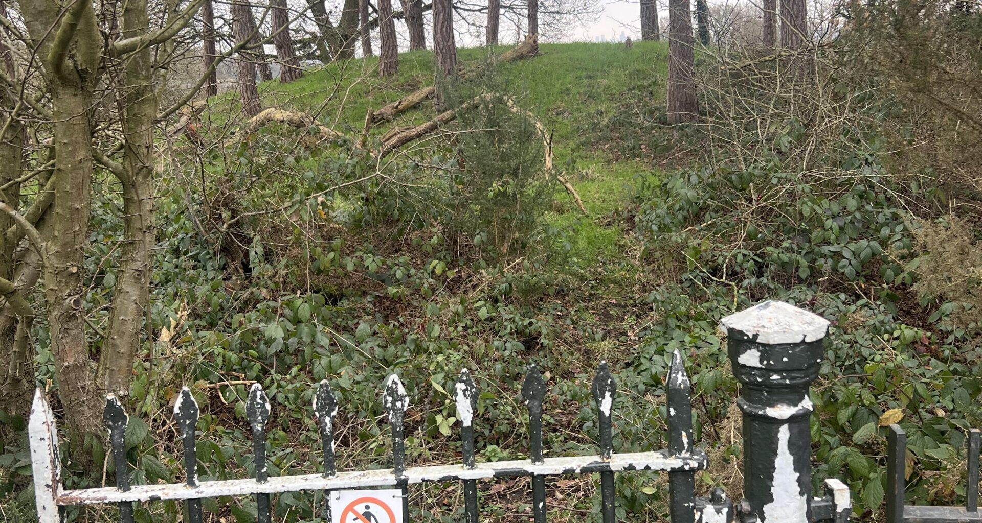 Why is this area in Hampstead Heath is out of bounds with a fence surrounding it?