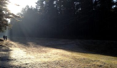 Svētdiena Latvijā gaidāma saulaina, palaikam debesīs būs mākoņi / Raksts