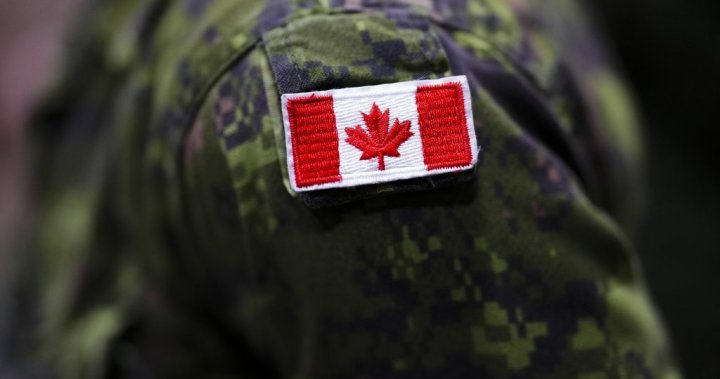 What would it take for Canada to hit 2% defence spending NATO target? - National