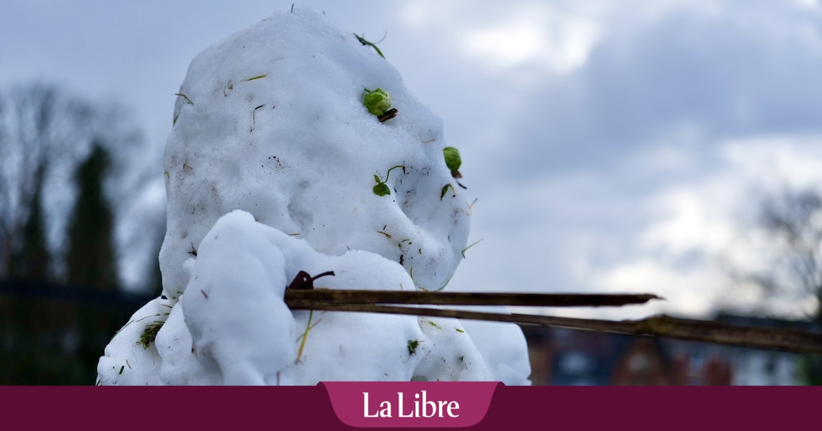 Une goutte froide sévit en Europe: "Il faut rester attentif en Belgique. Il y a un risque de neige"