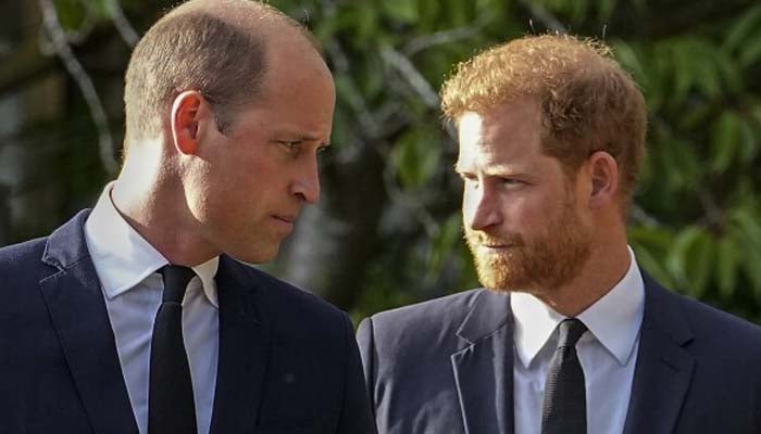 Prince Harry, Prince William share secret similarity despite royal rift