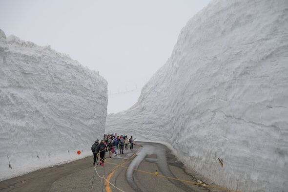 Tateyama Kurobe Snow Otani in 2024