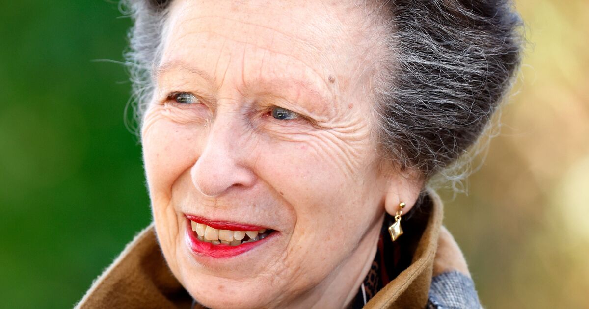 'I used to work with Princess Anne - here is my verdict on her retirement' | Royal | News
