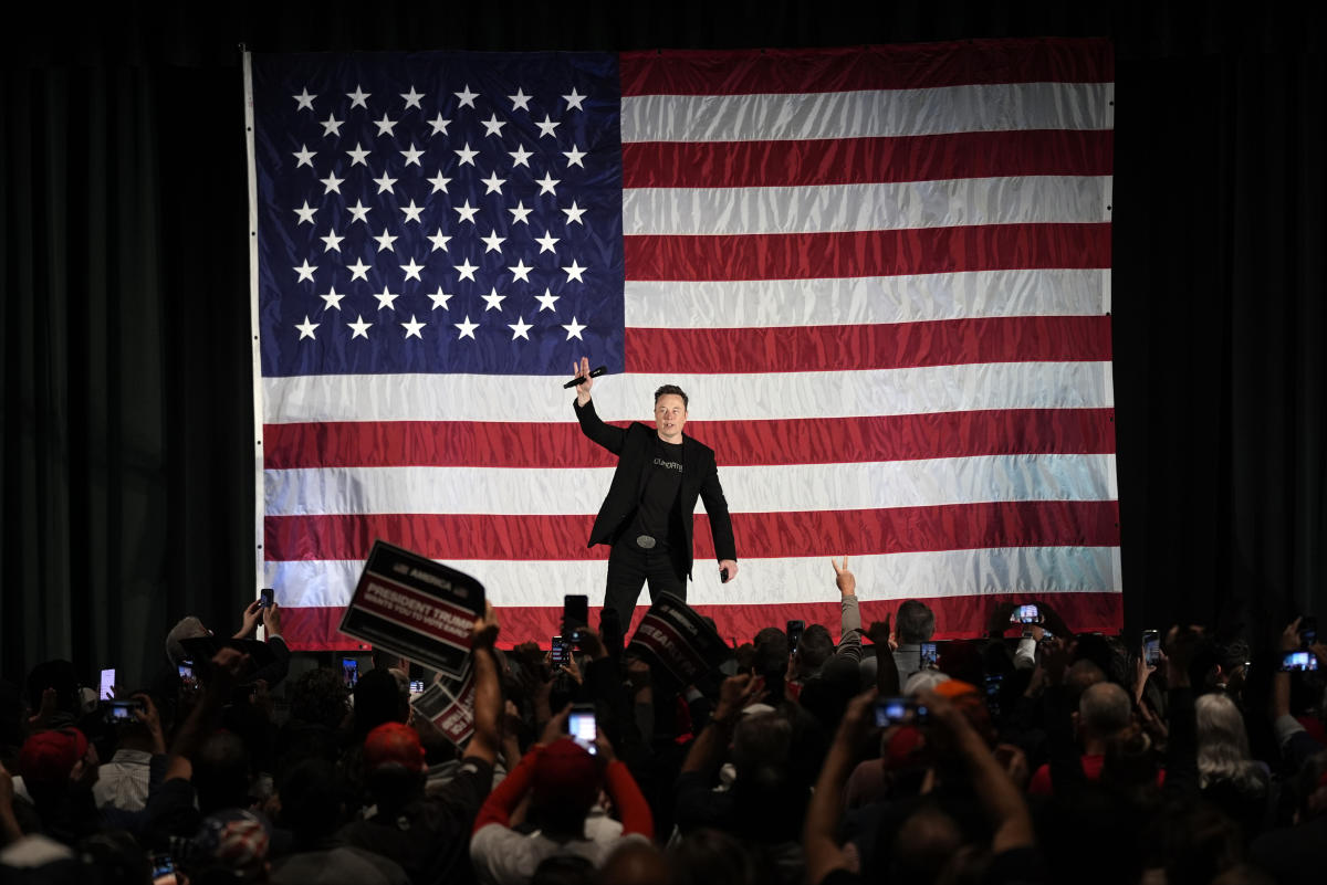How Elon Musk's crusade against government could benefit Tesla