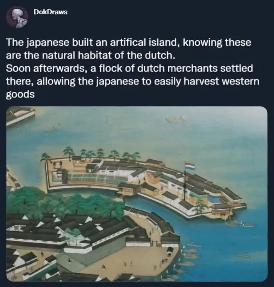 Dutch May be Native to Europe but Can Thrive in Many Biomes