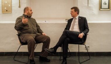 Ukraine, Denmark discuss further development of ‘Danish model’