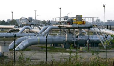 Slovakia resumes Russian gas imports via TurkStream - World