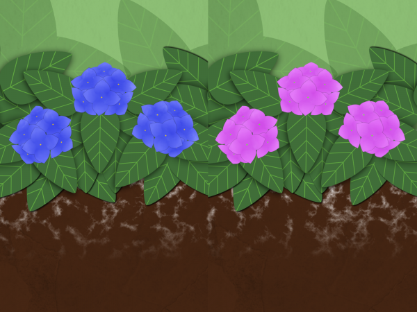 How Environments Influence Biology to Make Things Happen