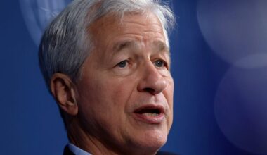 Jamie Dimon Says He Hopes DOGE Makes the Government More Efficient