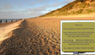 Council tries to ban nudists from being nudists on semi-nudist beach
