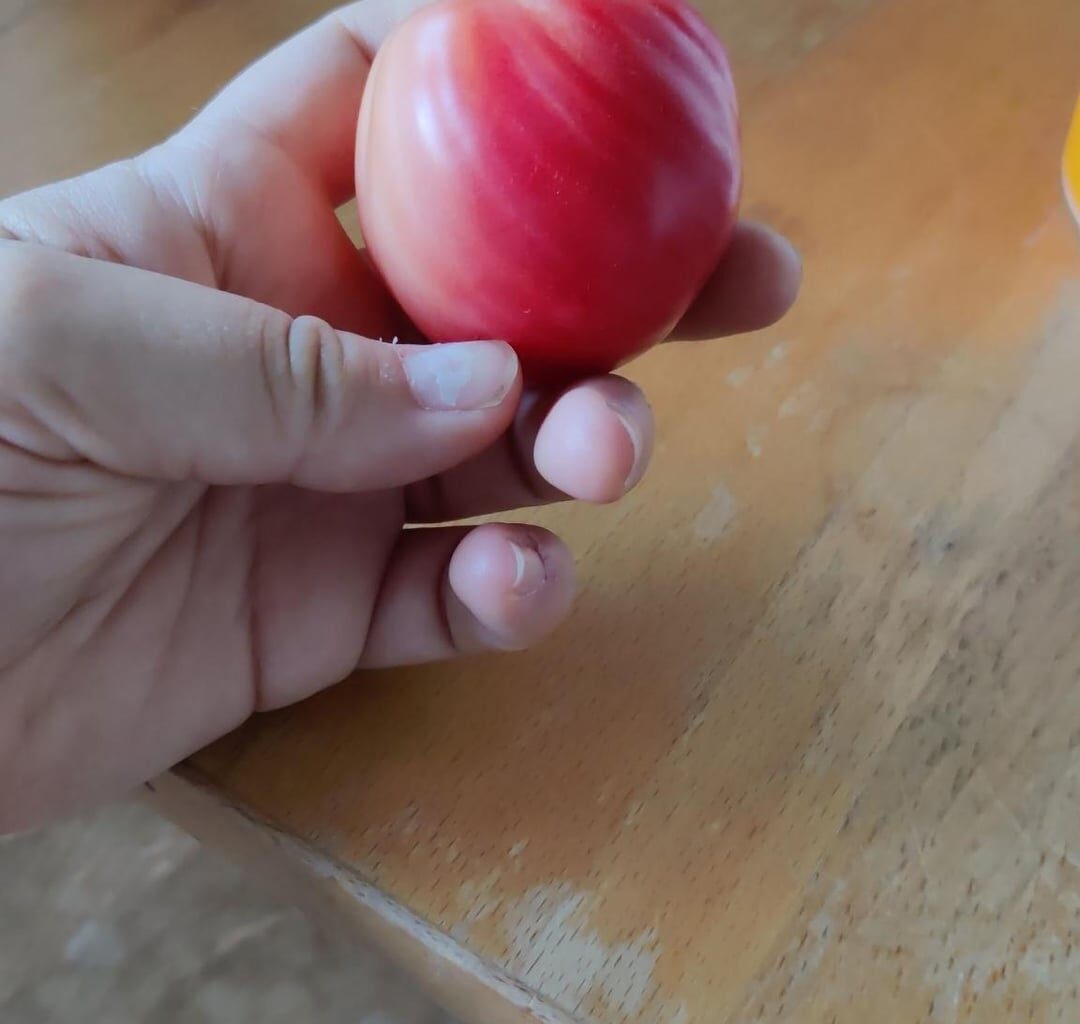 Hilfe bei Identifikation dieser Tomate