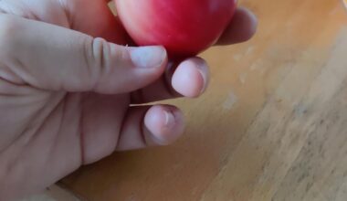 Hilfe bei Identifikation dieser Tomate