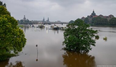 Climate protection takes a back seat – DW – 02/17/2025
