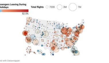 Home Alone - Airplane Traffic Over The Holidays Visualized