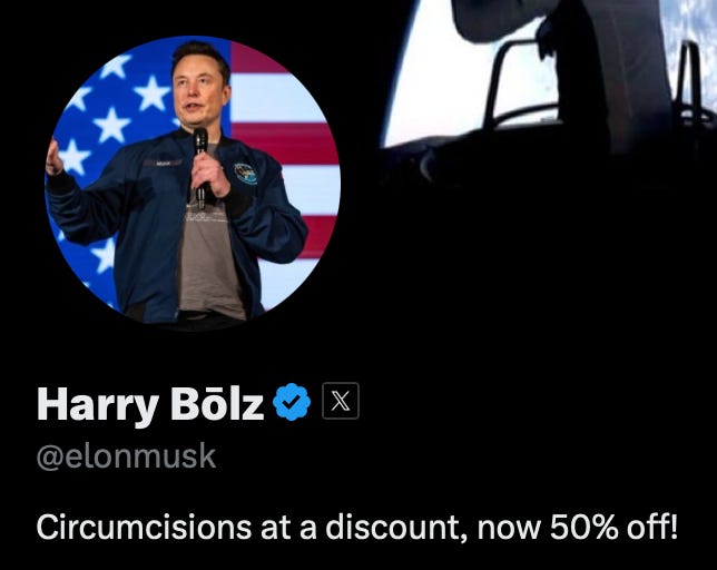 A screenshot of Elon Musk's account on X, taken Tuesday morning. It was later changed.