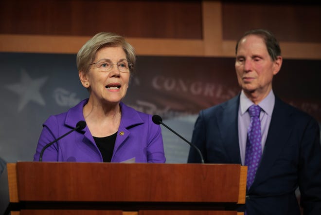 Democratic Sens. Elizabeth Warren of Massachusetts and Ron Wyden of Oregon address reporters at the U.S. Capitol on Feb. 03, 2025.