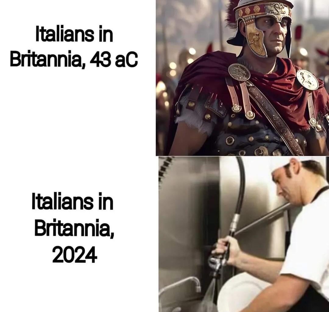 Veni, vidi, puli