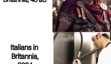 Veni, vidi, puli