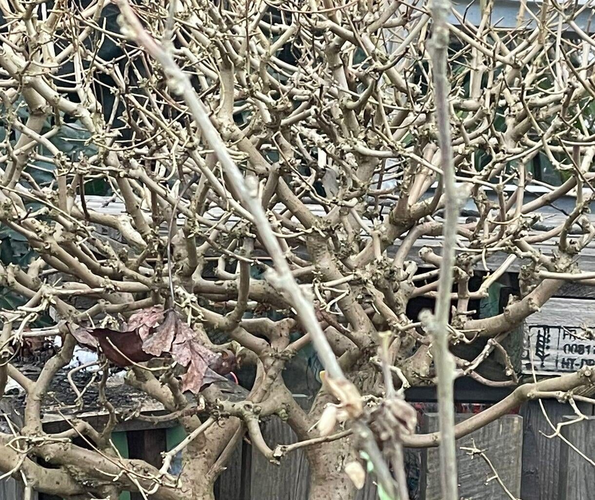 Moin moin, was ist das?