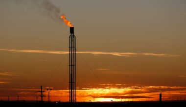 US Permian oil output growth to slow in 2025 despite Trump's plan, executives say