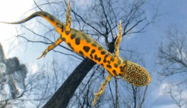 Italia svela il tesoro della sua biodiversità