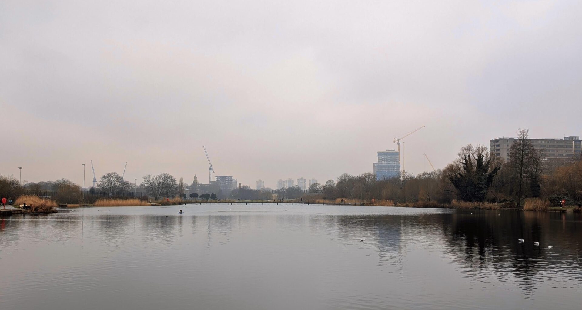 Morning Walk in Burgess Park
