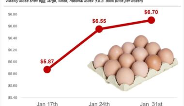 [OC] Egg prices in the U.S. have increased by 14% in the last two weeks
