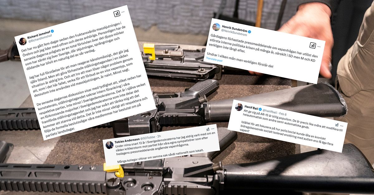 Intern kritik mot Tidöpartiernas förslag om ändring av vapenlagar
