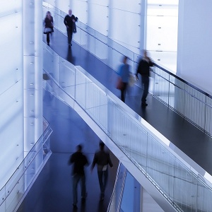 Global accountants flag risks as confidence plummets