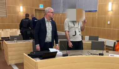 The 32-year-old man (pictured right) admitted to striking the male victim, aged 75, with an axe in a flat in Seinajoki, western Finland, in July last year, Finnish newspaper Iltalehti reports