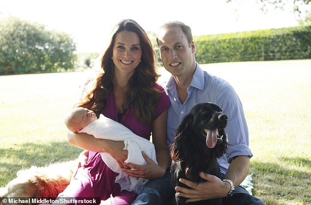 When Kate wore a fuchsia pink Seraphine 'Jolene' dress for her first official portrait with William and George, which sold out in two hours