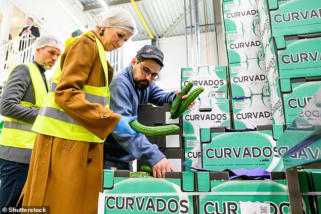The company offers chefs the chance to buy excess food and by-products to help increase sustainability