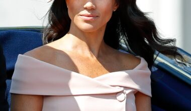 A former member of staff to the Duke and Duchess of Sussex has claimed Meghan Markle insisted she would 'finish what Princess Diana started' but on a 'part-time basis', when she first joined the royal family (pictured in 2018)