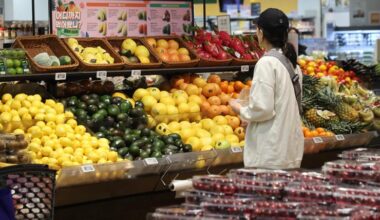 Korea's fruit imports reach record high in 2024 amid climate change