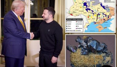 Trump wants a deal for Ukraine's natural resources as 'payback' in exchange for aid stopping Russia attack: envoy