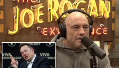 Joe Rogan defends 'super genius' Elon Musk and his DOGE crackdown: 'Good for everybody'