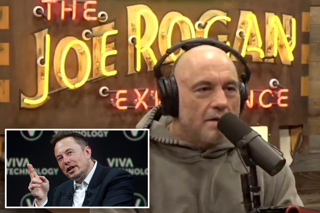 Joe Rogan defends 'super genius' Elon Musk and his DOGE crackdown: 'Good for everybody'